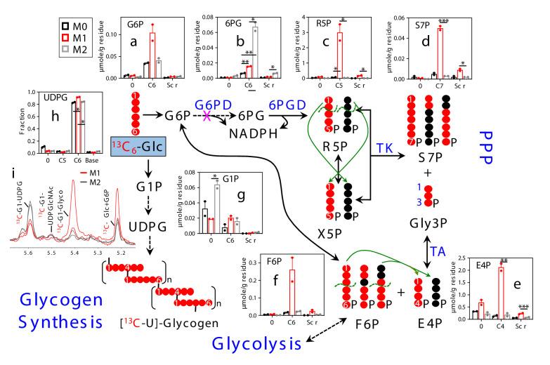 https://cdn.ncbi.nlm.nih.gov/pmc/blobs/7d60/8476122/7bbb6370231e/elife-69578-fig1-figsupp1.jpg
