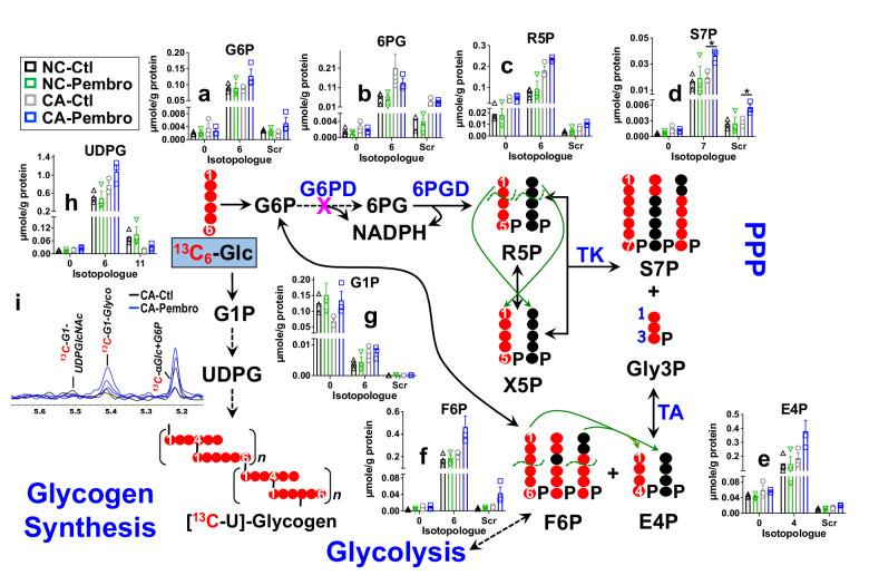 https://cdn.ncbi.nlm.nih.gov/pmc/blobs/7d60/8476122/bc3a37e04eb8/elife-69578-fig1.jpg