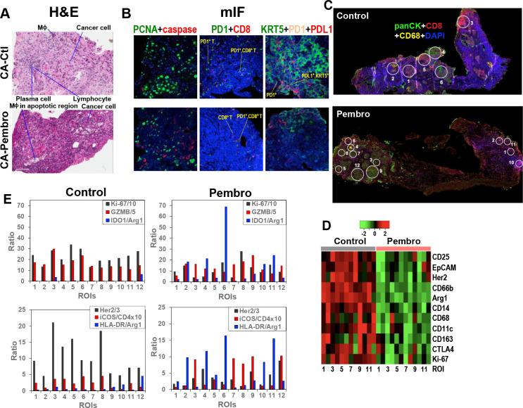 https://cdn.ncbi.nlm.nih.gov/pmc/blobs/7d60/8476122/f2d45d7a3337/elife-69578-fig4.jpg