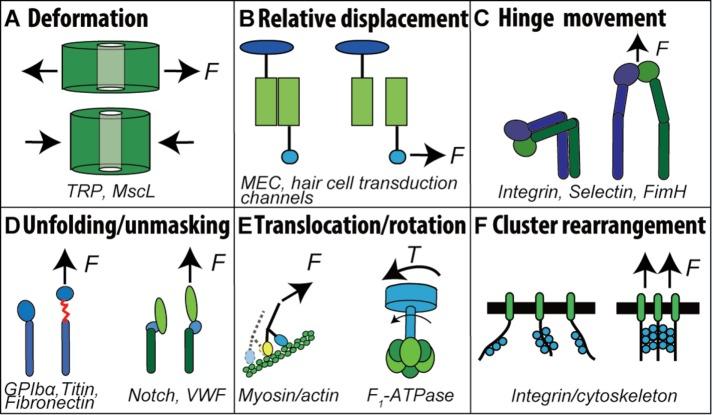https://cdn.ncbi.nlm.nih.gov/pmc/blobs/7d62/5687017/64aaf5474416/3134fig2.jpg