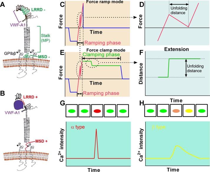 https://cdn.ncbi.nlm.nih.gov/pmc/blobs/7d62/5687017/7efb30d6dcf1/3134fig4.jpg