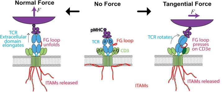 https://cdn.ncbi.nlm.nih.gov/pmc/blobs/7d62/5687017/bf52914b43e6/3134fig5.jpg