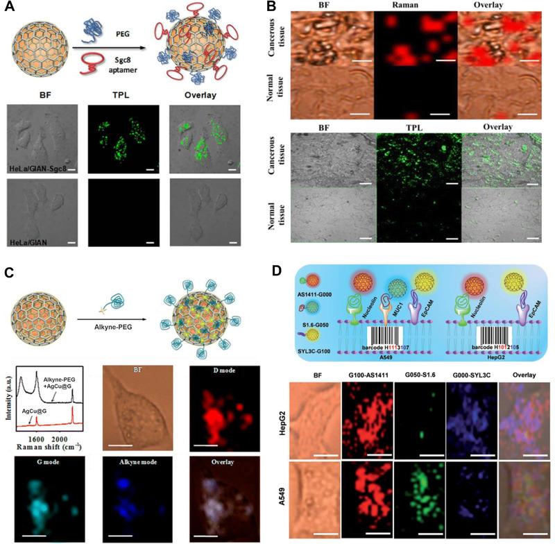 https://cdn.ncbi.nlm.nih.gov/pmc/blobs/7d63/10191027/7d3885cc5299/EXP2-2-20210223-g011.jpg
