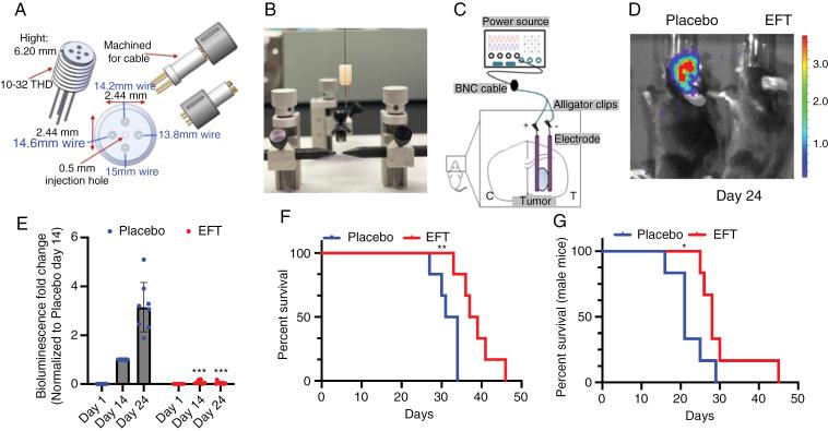 https://cdn.ncbi.nlm.nih.gov/pmc/blobs/7d63/11327618/342025392512/vdae121_fig3.jpg