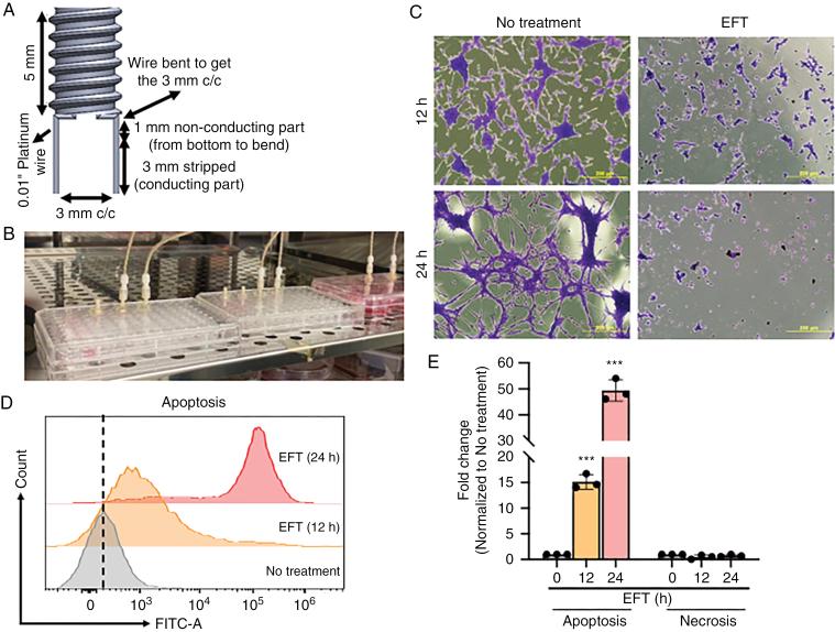 https://cdn.ncbi.nlm.nih.gov/pmc/blobs/7d63/11327618/4a9617515522/vdae121_fig2.jpg