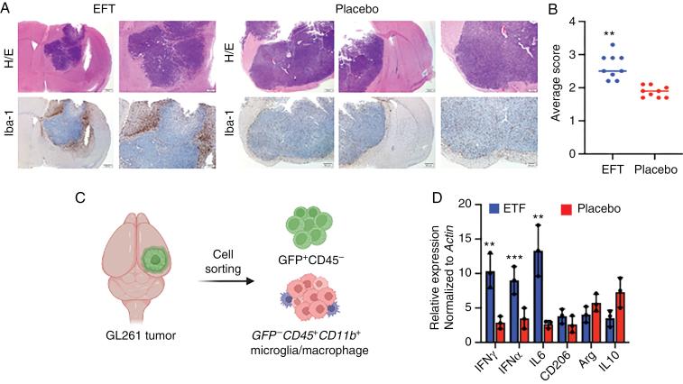 https://cdn.ncbi.nlm.nih.gov/pmc/blobs/7d63/11327618/5cafc6752917/vdae121_fig4.jpg