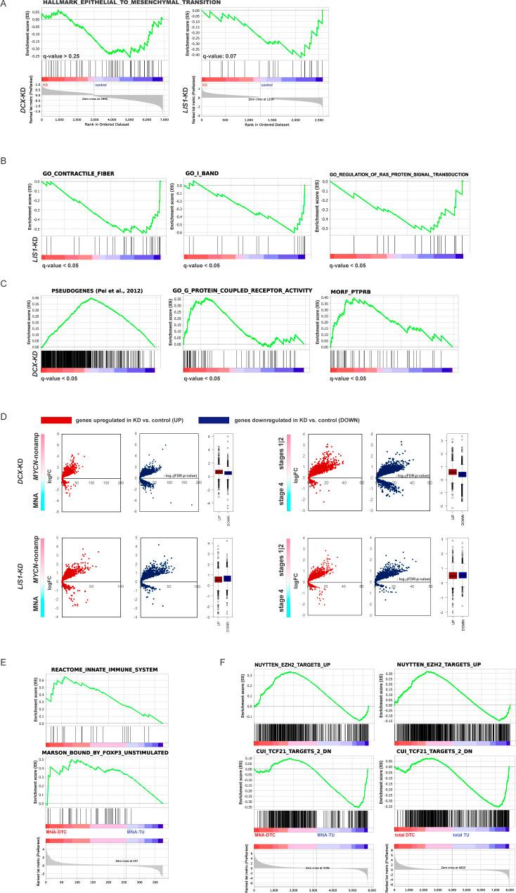 https://cdn.ncbi.nlm.nih.gov/pmc/blobs/7d65/8017594/3c3e1cb3b4df/LSA-2019-00332_FigS2.jpg