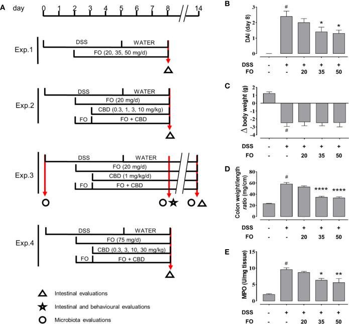 https://cdn.ncbi.nlm.nih.gov/pmc/blobs/7d67/7580385/1943ab485c43/fphar-11-585096-g001.jpg