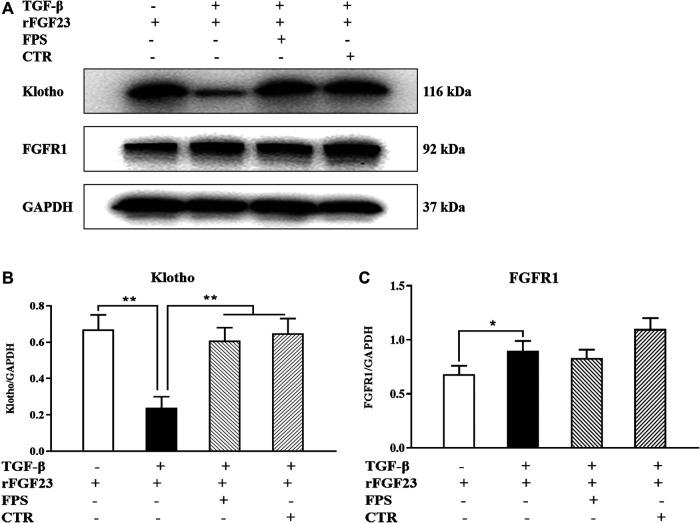 https://cdn.ncbi.nlm.nih.gov/pmc/blobs/7d69/7941278/f21805271d8d/fphar-11-586725-g006.jpg