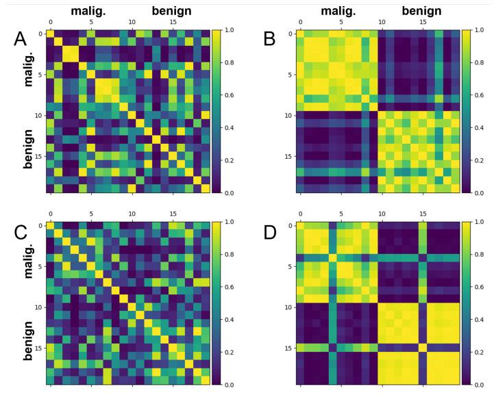 https://cdn.ncbi.nlm.nih.gov/pmc/blobs/7d69/9687469/2f7ada8cc78a/biomolecules-12-01576-g004.jpg
