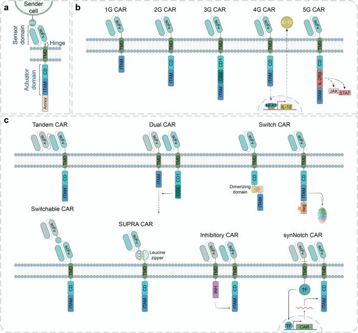 https://cdn.ncbi.nlm.nih.gov/pmc/blobs/7d6a/10761793/aaec5d3ab431/41392_2023_1680_Fig3_HTML.jpg
