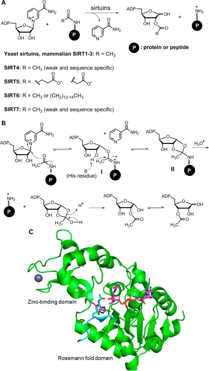 https://cdn.ncbi.nlm.nih.gov/pmc/blobs/7d6a/4610301/e52d5cd3ee96/cr-2014-00457h_0001.jpg