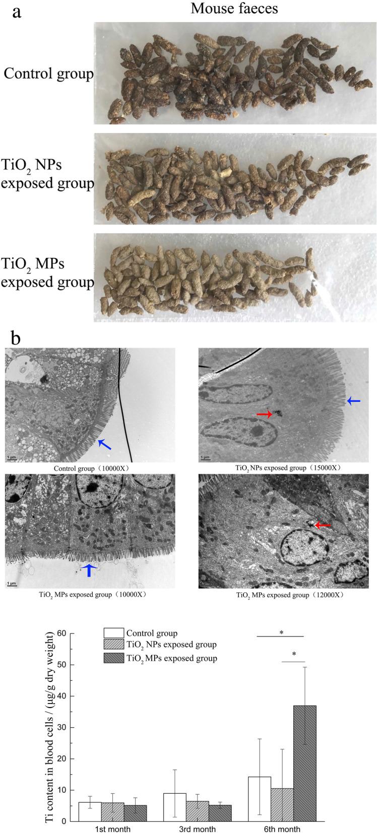 https://cdn.ncbi.nlm.nih.gov/pmc/blobs/7d6a/7887831/8848ffe99747/12989_2021_399_Fig3_HTML.jpg