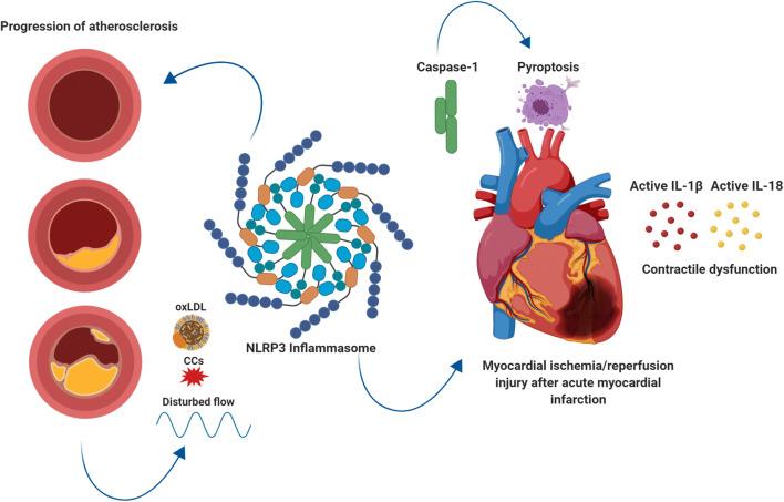 https://cdn.ncbi.nlm.nih.gov/pmc/blobs/7d6a/7892681/2d6b3b46c037/12265_2020_10049_Fig3_HTML.jpg