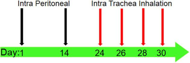 https://cdn.ncbi.nlm.nih.gov/pmc/blobs/7d6b/7581680/f1cada07ca90/fimmu-11-01940-g0001.jpg