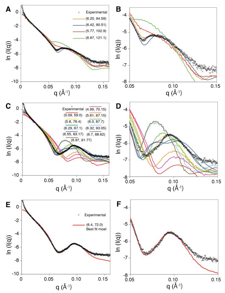 https://cdn.ncbi.nlm.nih.gov/pmc/blobs/7d6c/12029565/09171ba160b1/molecules-30-01793-g002.jpg