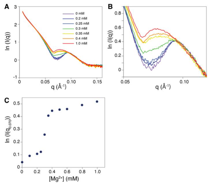 https://cdn.ncbi.nlm.nih.gov/pmc/blobs/7d6c/12029565/582321ea54d2/molecules-30-01793-g005.jpg