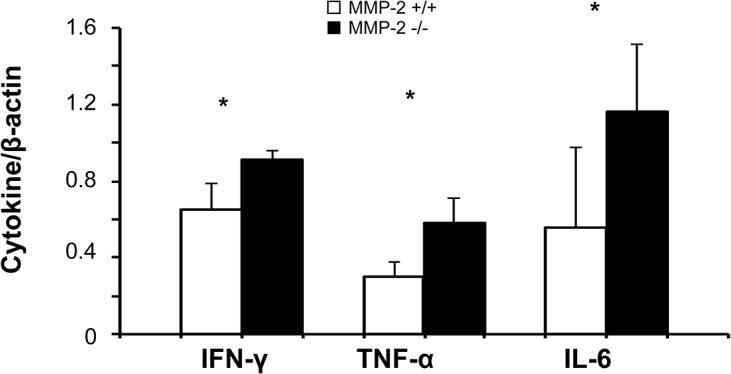 https://cdn.ncbi.nlm.nih.gov/pmc/blobs/7d6d/4565667/76bf4fe0ec7c/pone.0137642.g004.jpg