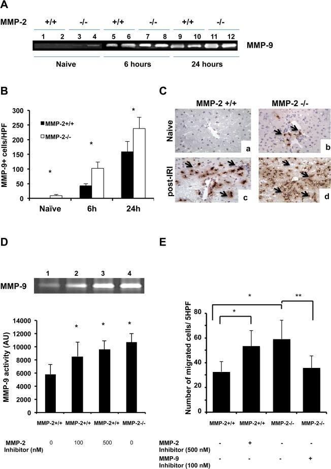 https://cdn.ncbi.nlm.nih.gov/pmc/blobs/7d6d/4565667/aa2235defeb6/pone.0137642.g006.jpg