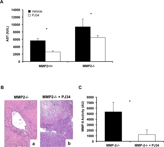 https://cdn.ncbi.nlm.nih.gov/pmc/blobs/7d6d/4565667/d814ac0a2da0/pone.0137642.g008.jpg