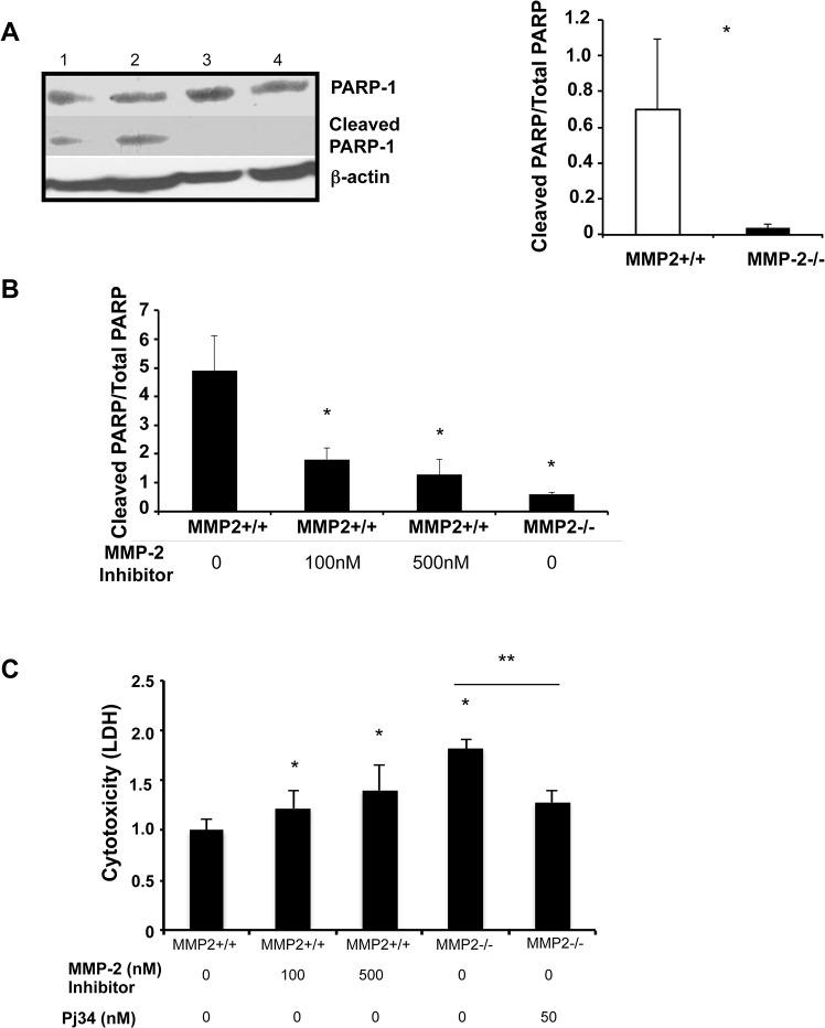 https://cdn.ncbi.nlm.nih.gov/pmc/blobs/7d6d/4565667/ef26e71b6676/pone.0137642.g007.jpg