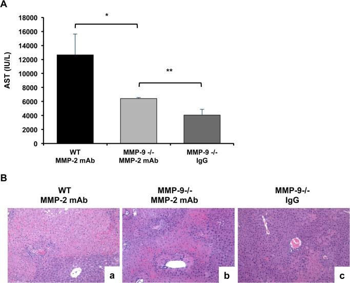 https://cdn.ncbi.nlm.nih.gov/pmc/blobs/7d6d/4565667/f3f325383b7f/pone.0137642.g009.jpg