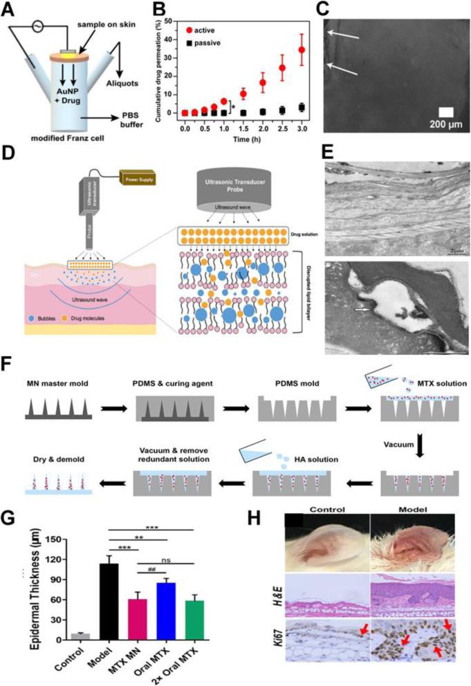 https://cdn.ncbi.nlm.nih.gov/pmc/blobs/7d6d/8317283/3161049a3dcb/40824_2021_226_Fig2_HTML.jpg