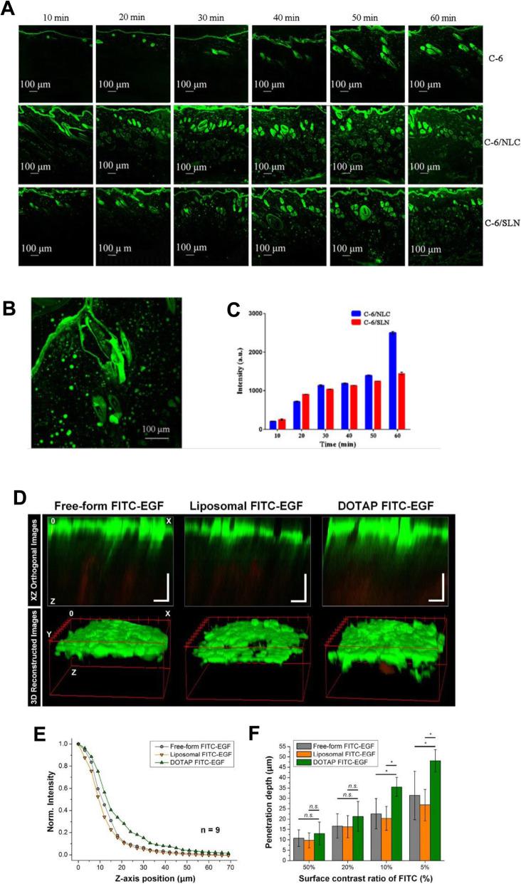 https://cdn.ncbi.nlm.nih.gov/pmc/blobs/7d6d/8317283/d1bb779729da/40824_2021_226_Fig6_HTML.jpg