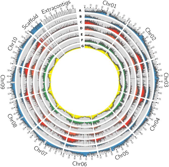 https://cdn.ncbi.nlm.nih.gov/pmc/blobs/7d6f/8204017/f64671536331/fpls-12-666342-g0003.jpg