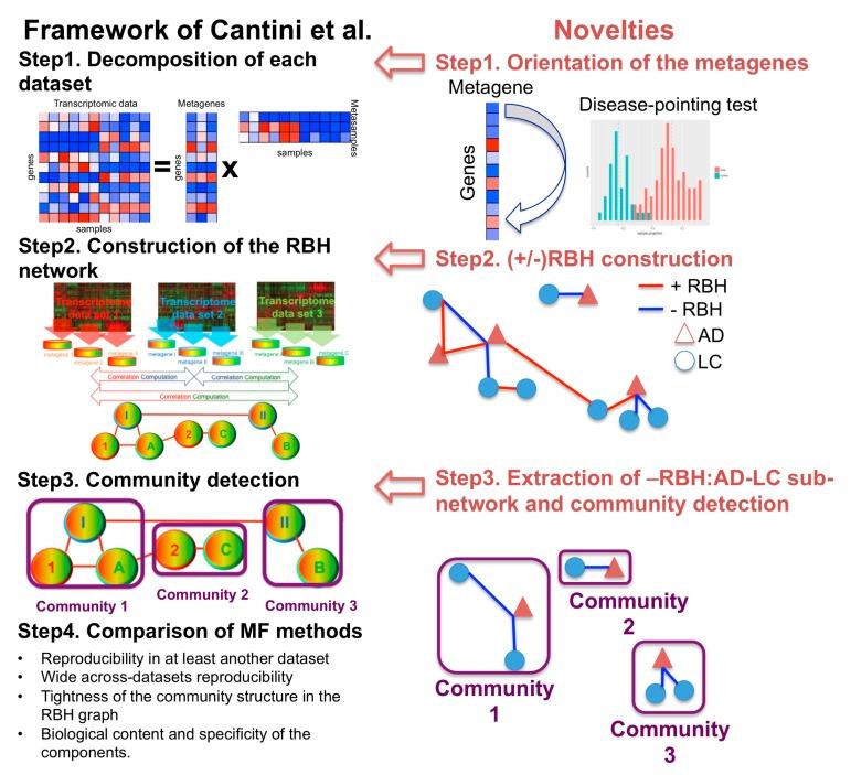 https://cdn.ncbi.nlm.nih.gov/pmc/blobs/7d74/6650839/a99ebed3a718/ijms-20-03114-g001.jpg