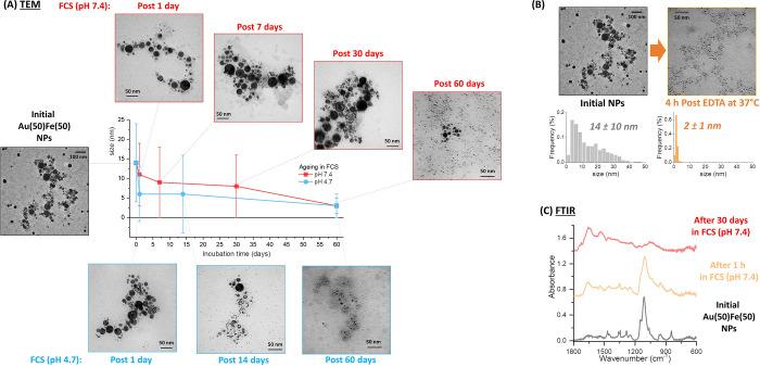 https://cdn.ncbi.nlm.nih.gov/pmc/blobs/7d74/8011985/39492bce53f6/nn0c03614_0003.jpg