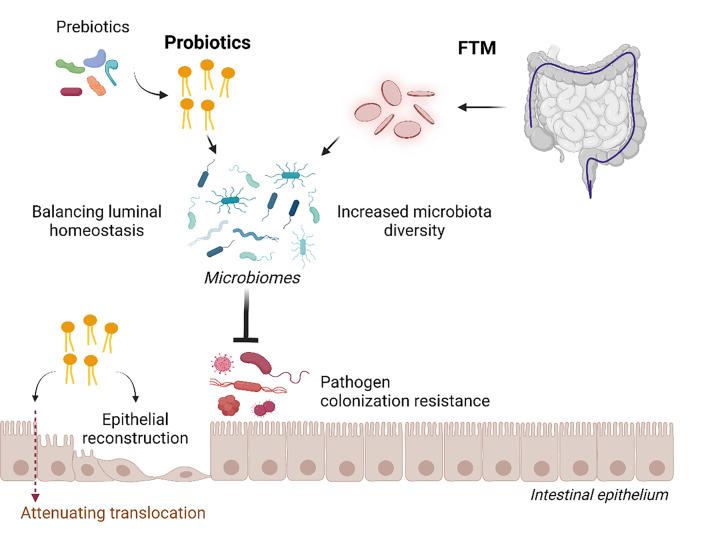 https://cdn.ncbi.nlm.nih.gov/pmc/blobs/7d76/10133873/7fd040e9cda6/cs-137-cs20220777-g2.jpg