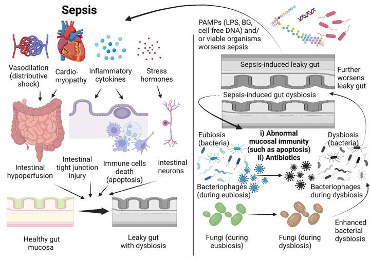 https://cdn.ncbi.nlm.nih.gov/pmc/blobs/7d76/10133873/ad7e6a8f388e/cs-137-cs20220777-g1.jpg