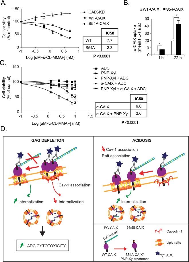 https://cdn.ncbi.nlm.nih.gov/pmc/blobs/7d76/5620149/16feaa20b858/oncotarget-08-66960-g007.jpg