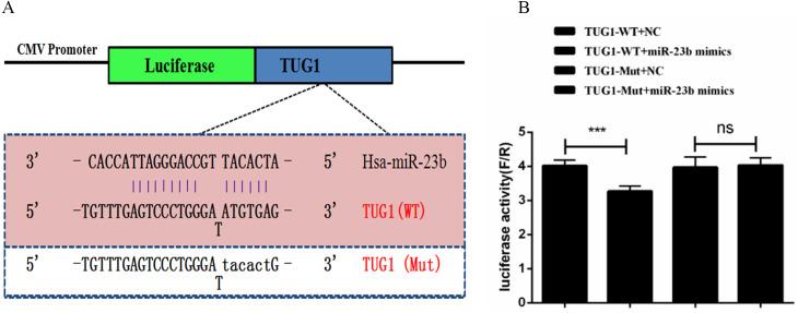 https://cdn.ncbi.nlm.nih.gov/pmc/blobs/7d76/8063876/049662efc422/peerj-09-11251-g003.jpg