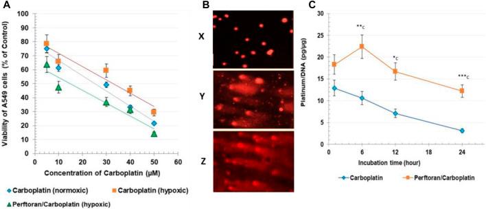 https://cdn.ncbi.nlm.nih.gov/pmc/blobs/7d76/8987772/5cab35c3714d/fphar-13-860898-g001.jpg