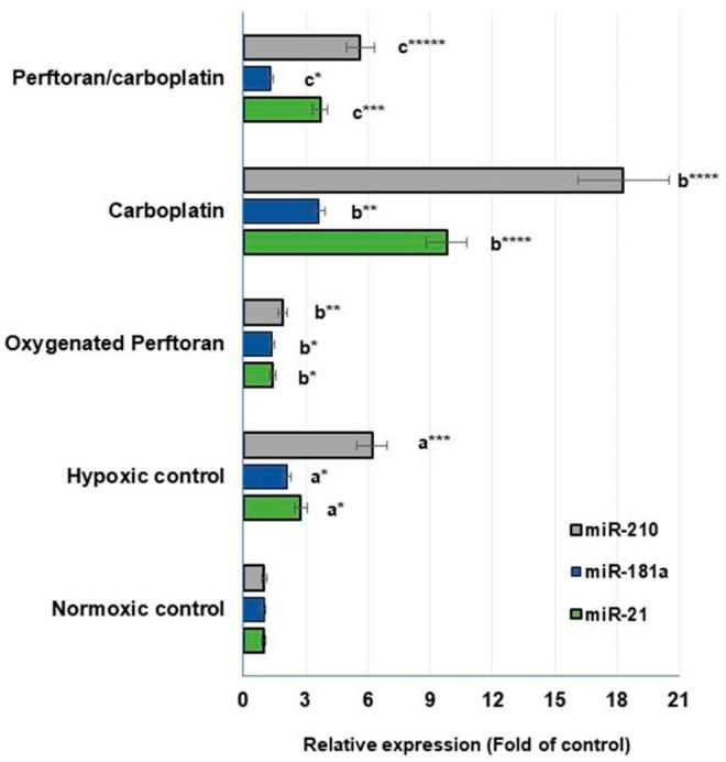https://cdn.ncbi.nlm.nih.gov/pmc/blobs/7d76/8987772/827001a79888/fphar-13-860898-g003.jpg