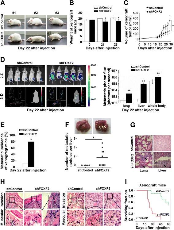https://cdn.ncbi.nlm.nih.gov/pmc/blobs/7d7a/4361145/abcc0b944ad4/13058_2015_531_Fig2_HTML.jpg