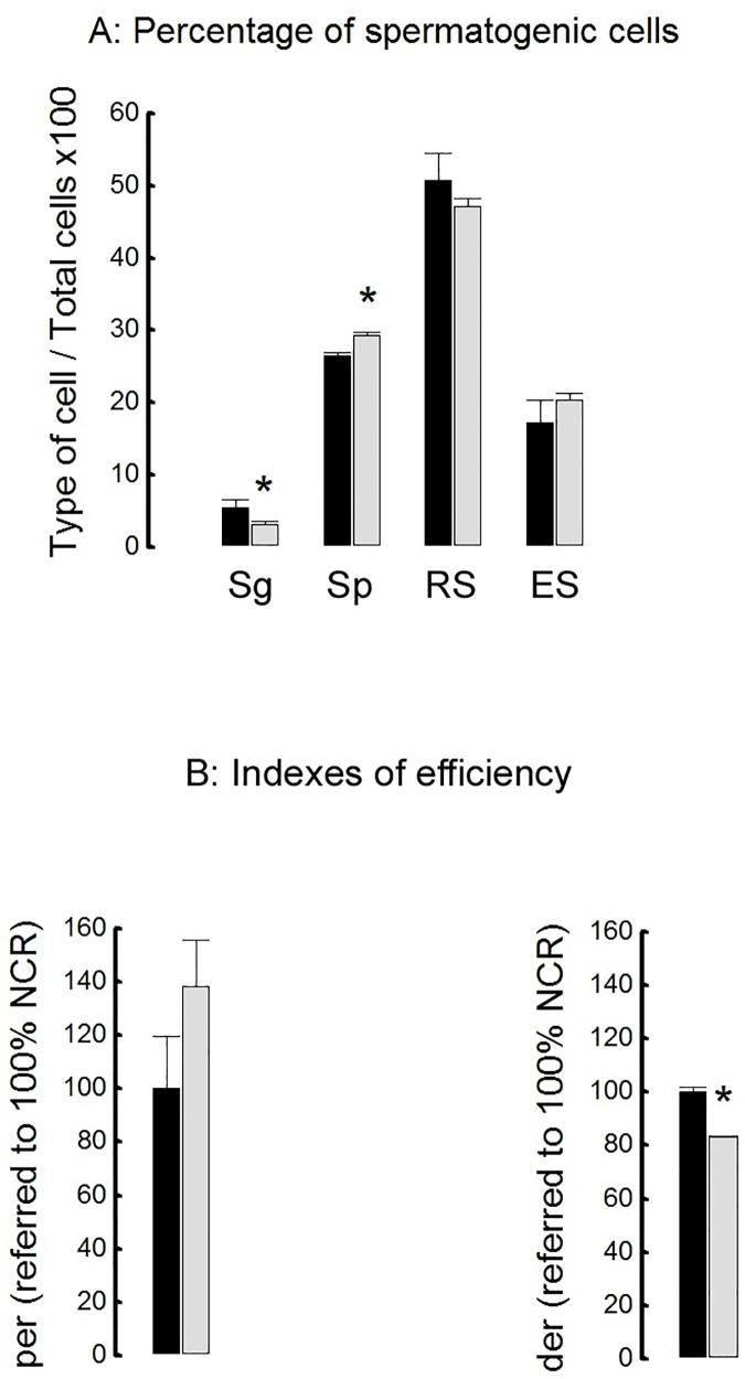 https://cdn.ncbi.nlm.nih.gov/pmc/blobs/7d7a/5328279/7a5ad8ab8779/pone.0172994.g006.jpg