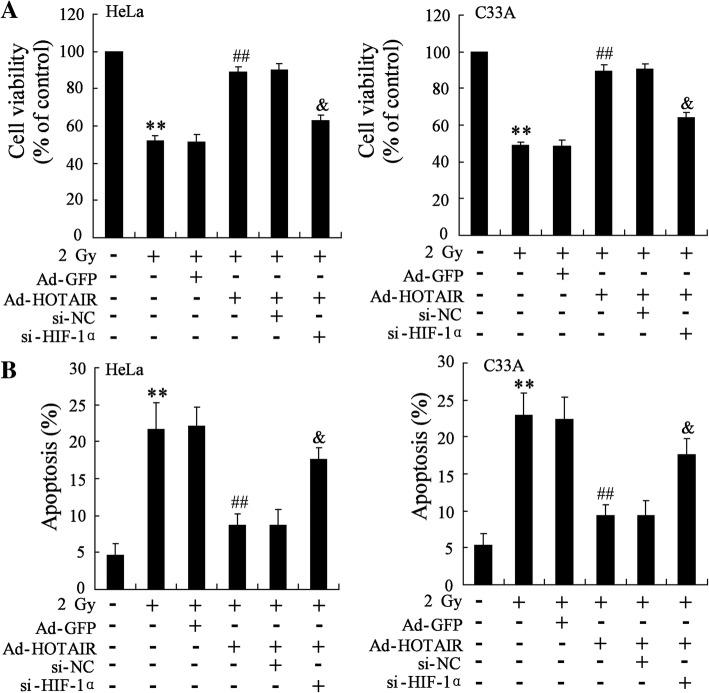 https://cdn.ncbi.nlm.nih.gov/pmc/blobs/7d7a/6201557/31408bfdaf19/13014_2018_1153_Fig5_HTML.jpg