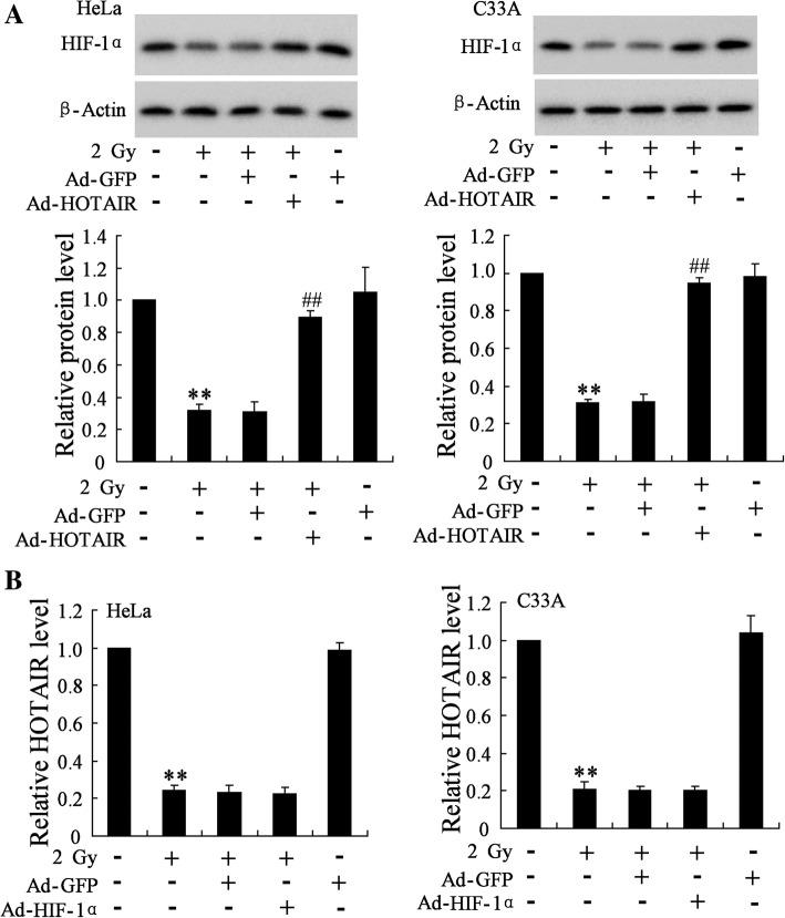 https://cdn.ncbi.nlm.nih.gov/pmc/blobs/7d7a/6201557/8cb2de81f2b9/13014_2018_1153_Fig4_HTML.jpg