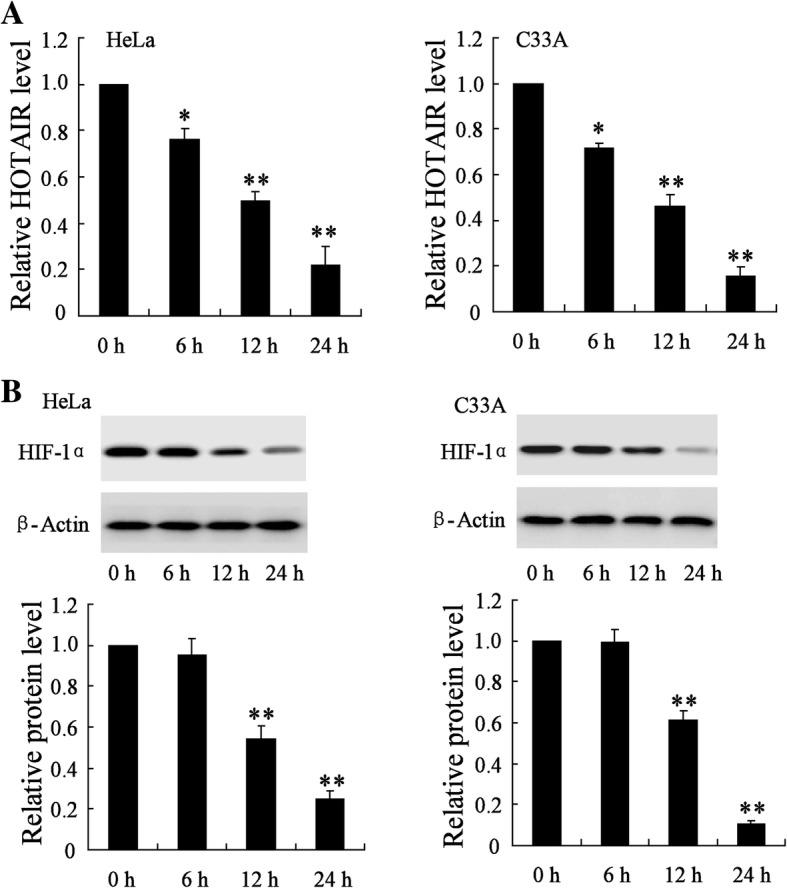 https://cdn.ncbi.nlm.nih.gov/pmc/blobs/7d7a/6201557/99d2a650c424/13014_2018_1153_Fig2_HTML.jpg