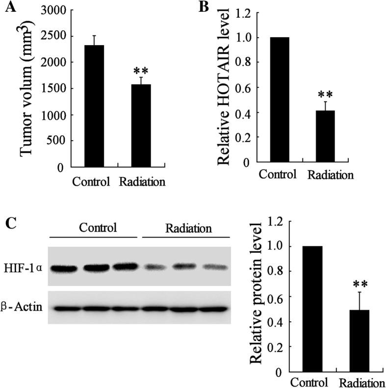 https://cdn.ncbi.nlm.nih.gov/pmc/blobs/7d7a/6201557/dfc9bd43ff01/13014_2018_1153_Fig1_HTML.jpg