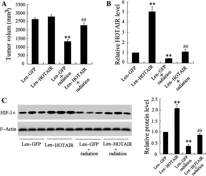 https://cdn.ncbi.nlm.nih.gov/pmc/blobs/7d7a/6201557/e7248c94298a/13014_2018_1153_Fig6_HTML.jpg