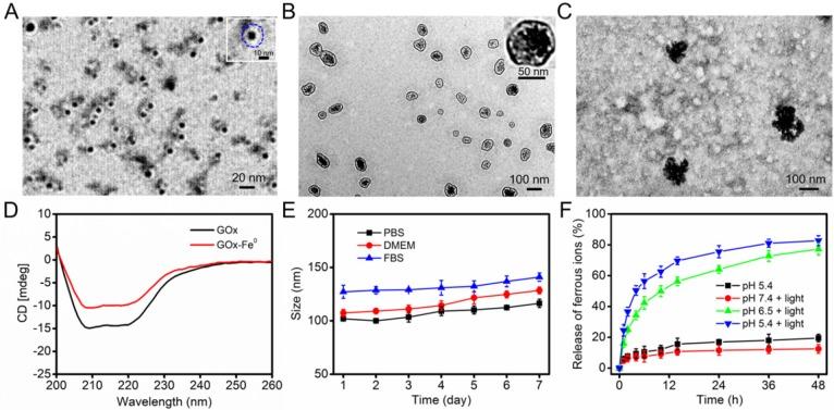 https://cdn.ncbi.nlm.nih.gov/pmc/blobs/7d7e/7019169/5bdd5439d755/thnov10p2201g002.jpg