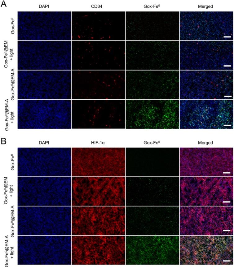 https://cdn.ncbi.nlm.nih.gov/pmc/blobs/7d7e/7019169/86b9ef97d553/thnov10p2201g006.jpg