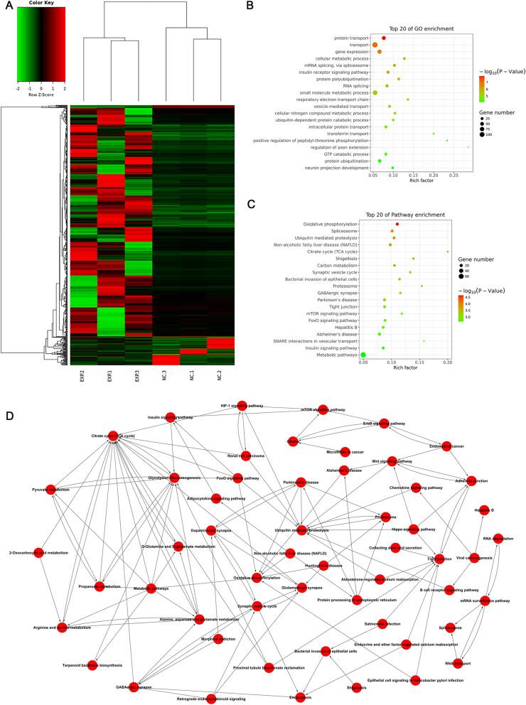 https://cdn.ncbi.nlm.nih.gov/pmc/blobs/7d81/7796549/534ebac129cf/13287_2020_2119_Fig2_HTML.jpg