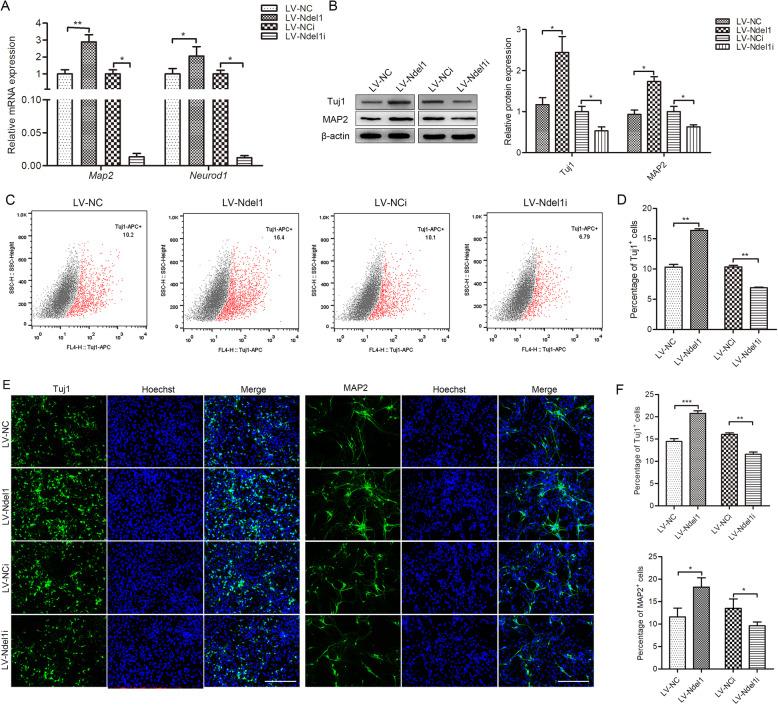 https://cdn.ncbi.nlm.nih.gov/pmc/blobs/7d81/7796549/6603bd971b72/13287_2020_2119_Fig4_HTML.jpg
