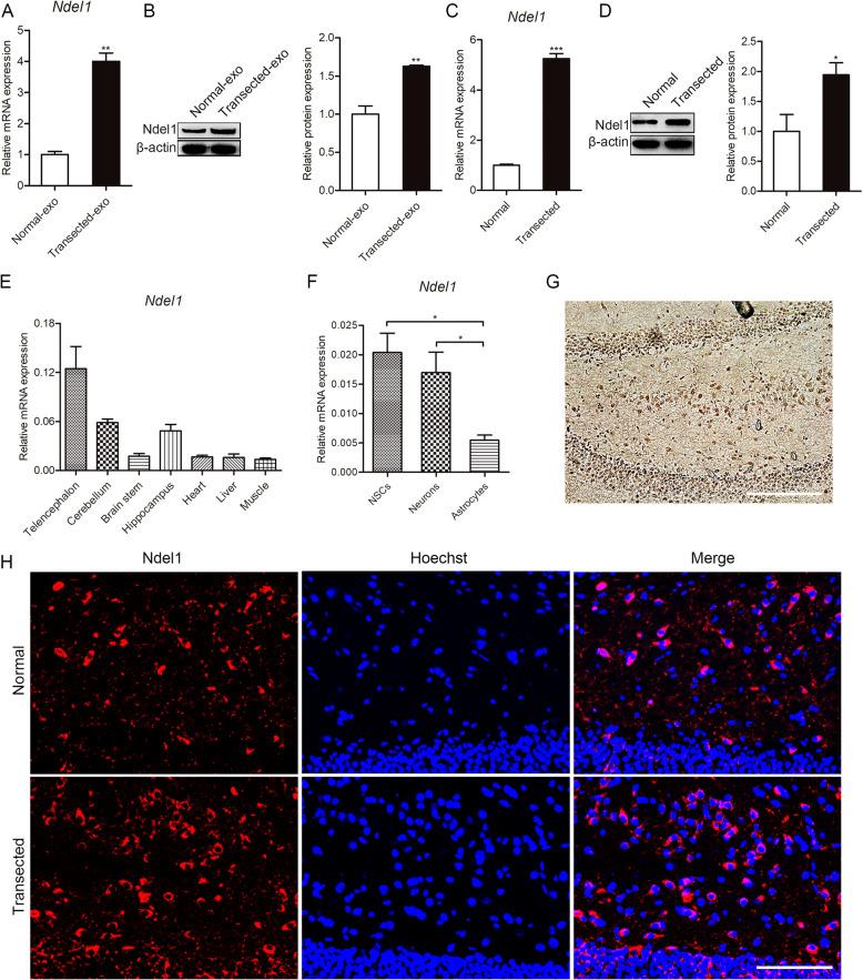 https://cdn.ncbi.nlm.nih.gov/pmc/blobs/7d81/7796549/82b14f6268ff/13287_2020_2119_Fig3_HTML.jpg