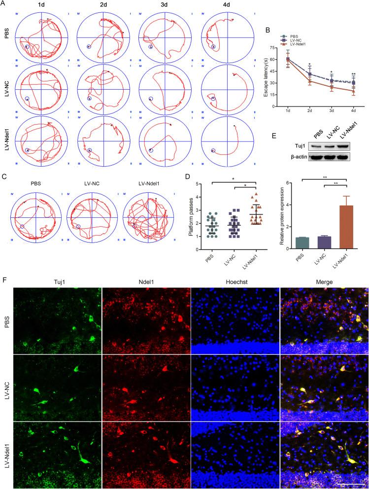https://cdn.ncbi.nlm.nih.gov/pmc/blobs/7d81/7796549/b6276b9a0de9/13287_2020_2119_Fig6_HTML.jpg